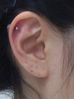f0107898_1344598.jpg