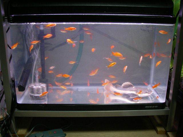 e0010301_1632886.jpg