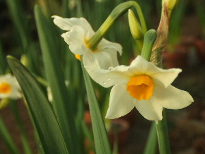 f0041606_2015056.jpg