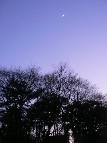 e0075015_21492914.jpg