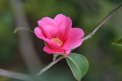 e0001123_19385665.jpg