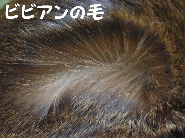 d0081025_16343998.jpg