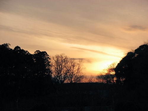 e0115526_20151945.jpg