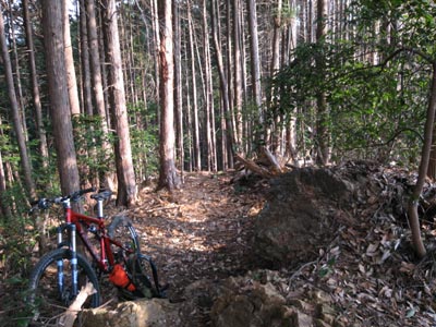 e0002927_1795128.jpg
