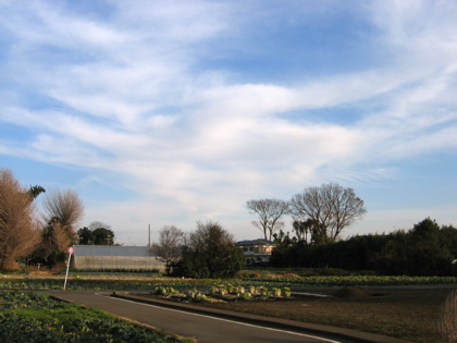 d0085939_2238950.jpg
