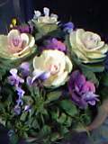 d0053940_17154873.jpg