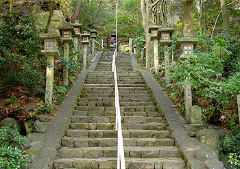 e0040544_10233469.jpg