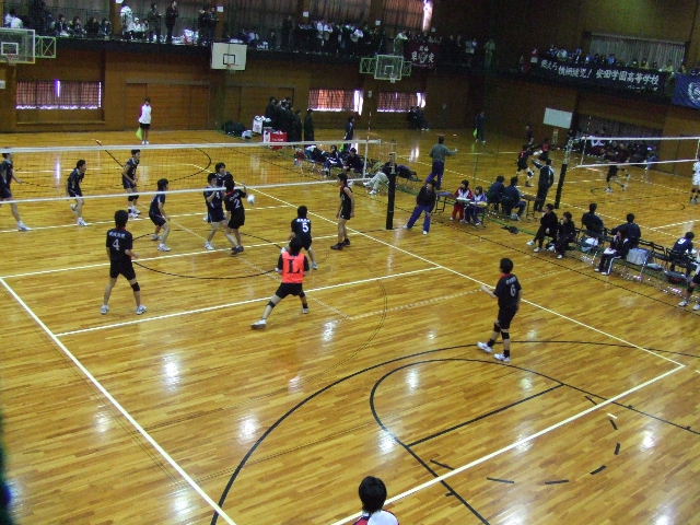 c0071545_1229514.jpg