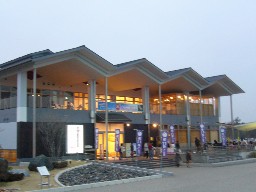 e0110047_2242063.jpg