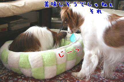d0013149_022409.jpg