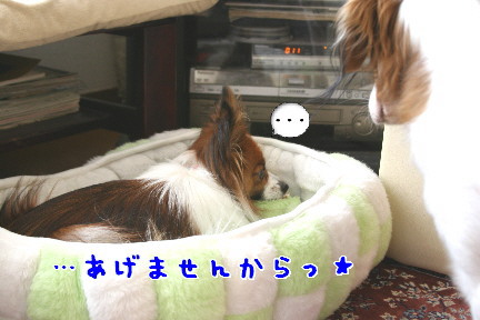 d0013149_023715.jpg