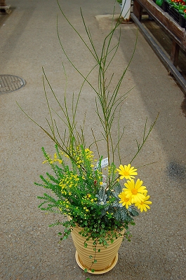 e0025655_6342412.jpg