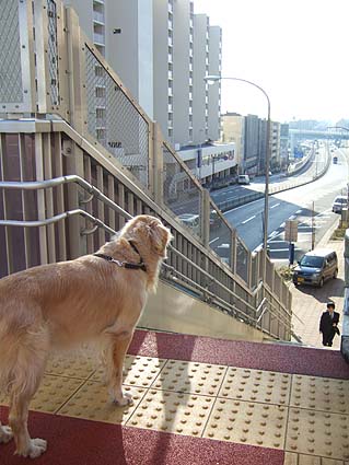 c0097558_047844.jpg