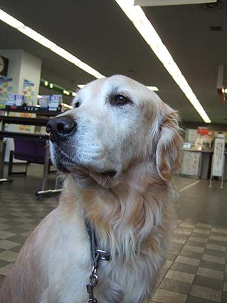 c0097558_0523323.jpg