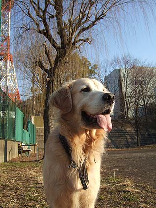 c0097558_175988.jpg