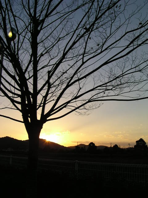 f0074659_2016334.jpg