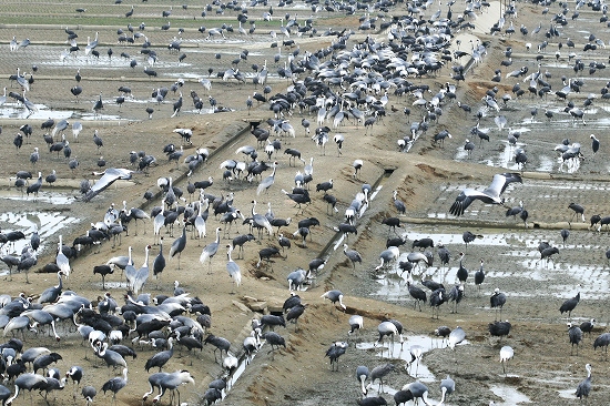 d0102968_20583631.jpg