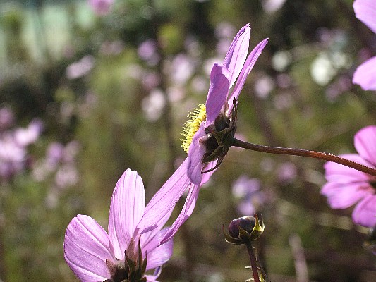 b0084270_0323110.jpg