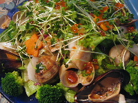 e0077373_1421390.jpg
