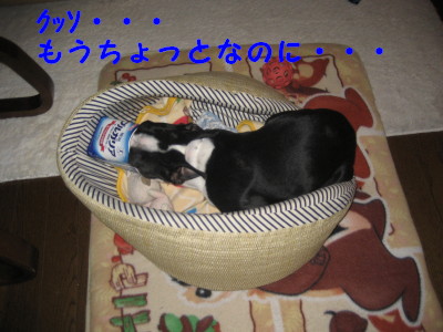 c0092787_15174123.jpg