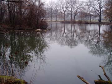 f0024887_9163858.jpg