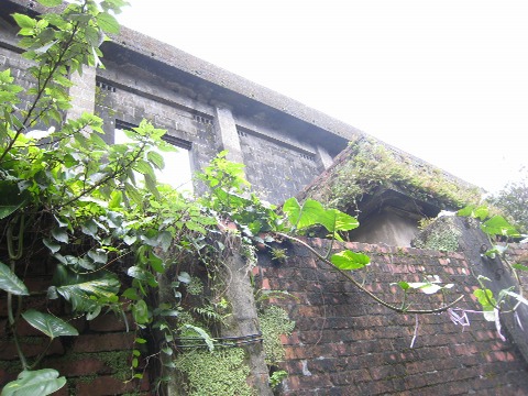 f0093592_1918534.jpg