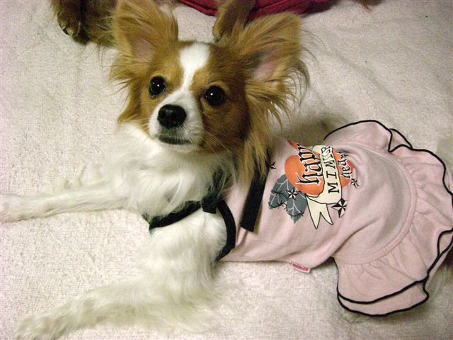 c0087001_09432.jpg