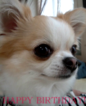 a0079803_0515138.jpg