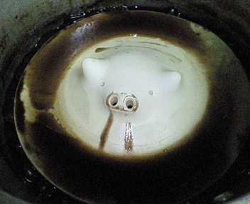 c0017505_1434069.jpg