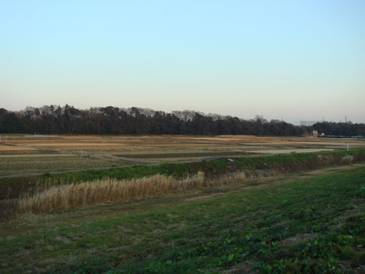 c0000718_8515100.jpg