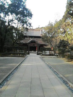 f0055423_20595885.jpg