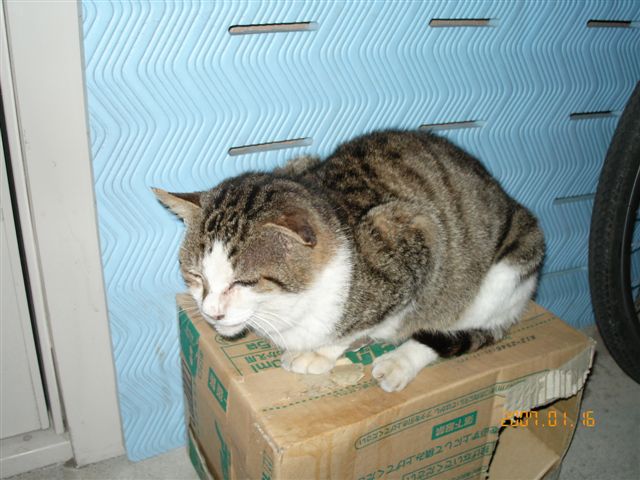 f0127523_20441261.jpg