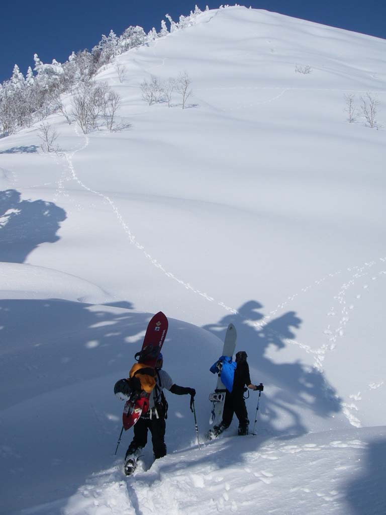 b0062024_19283186.jpg