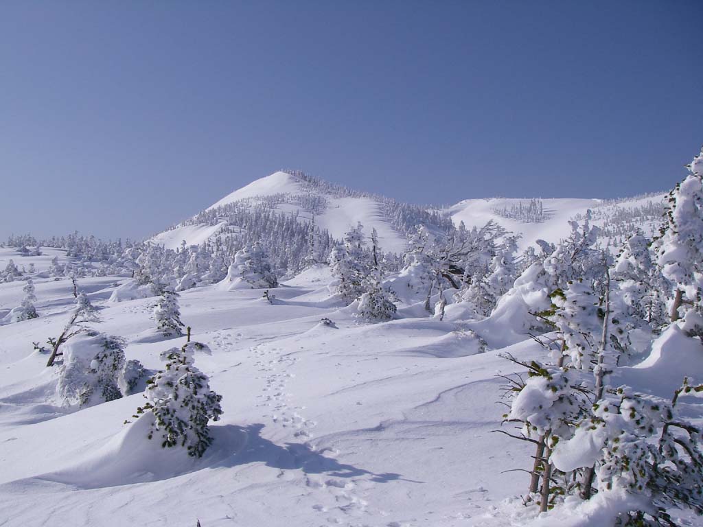 b0062024_1940536.jpg