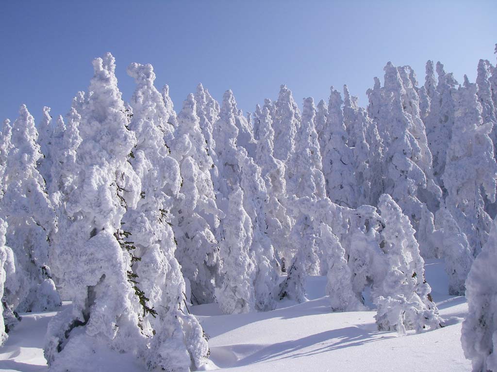 b0062024_1942962.jpg