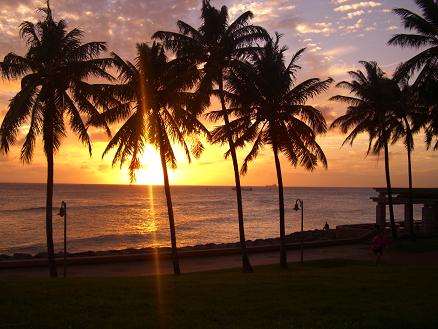 c0055324_0142123.jpg