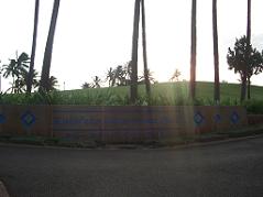 c0055324_024495.jpg