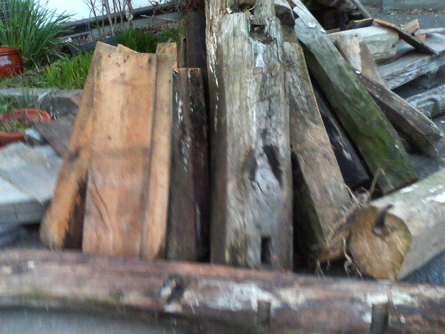 a0074938_17324059.jpg