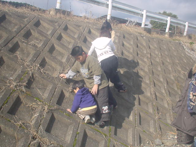 e0085543_831996.jpg