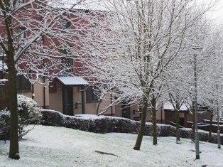e0018350_8174772.jpg