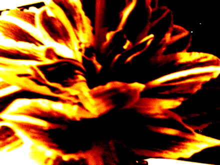 f0118450_18161049.jpg