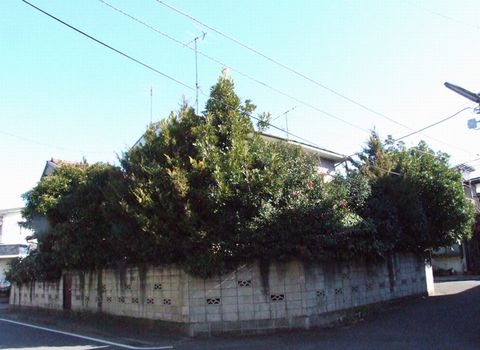 a0009666_16572530.jpg