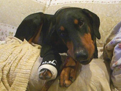 f0025769_215263.jpg