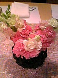 c0102375_464680.jpg