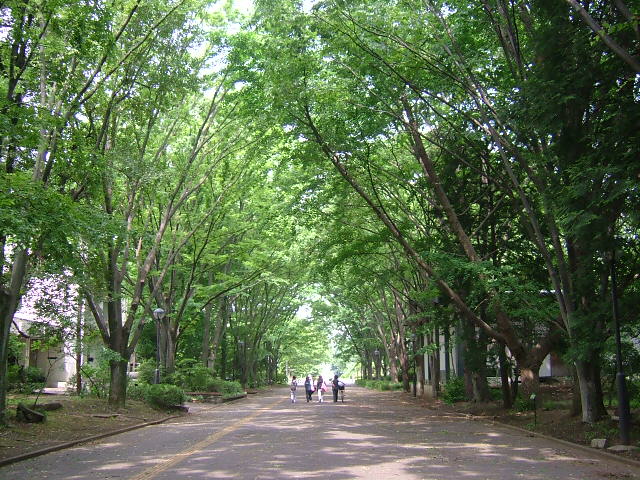 e0021276_21565361.jpg