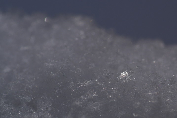 c0106977_1340124.jpg