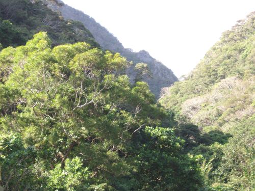 f0083281_19431726.jpg