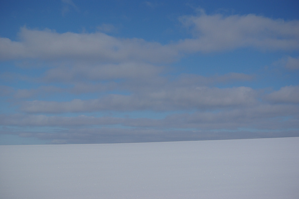 e0051186_20382646.jpg