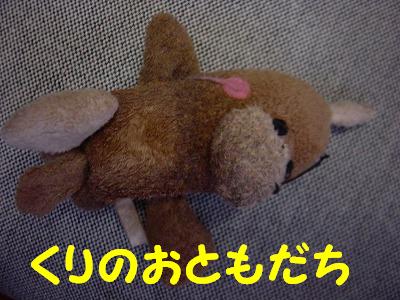 f0075087_16411145.jpg