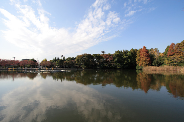 b0067789_23574730.jpg
